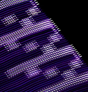 Why choose Sonomics image